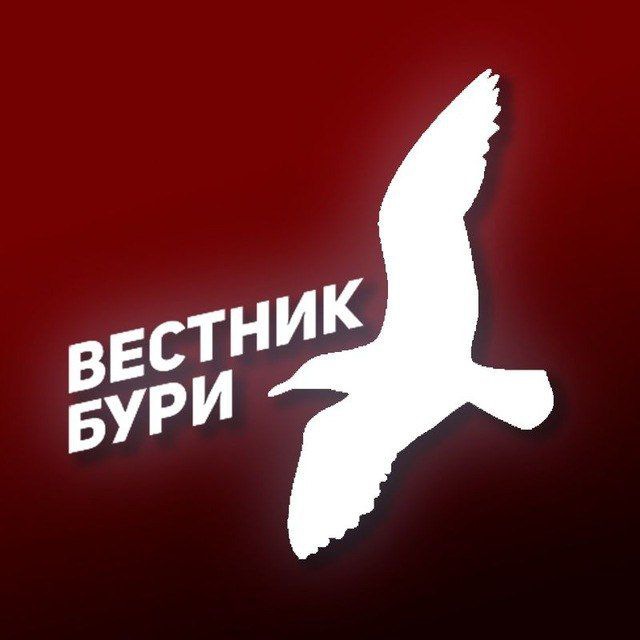 Аватар канала Вестник Бури