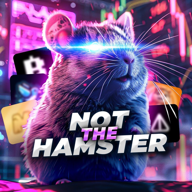 Аватар канала Not The Hamster 🐹