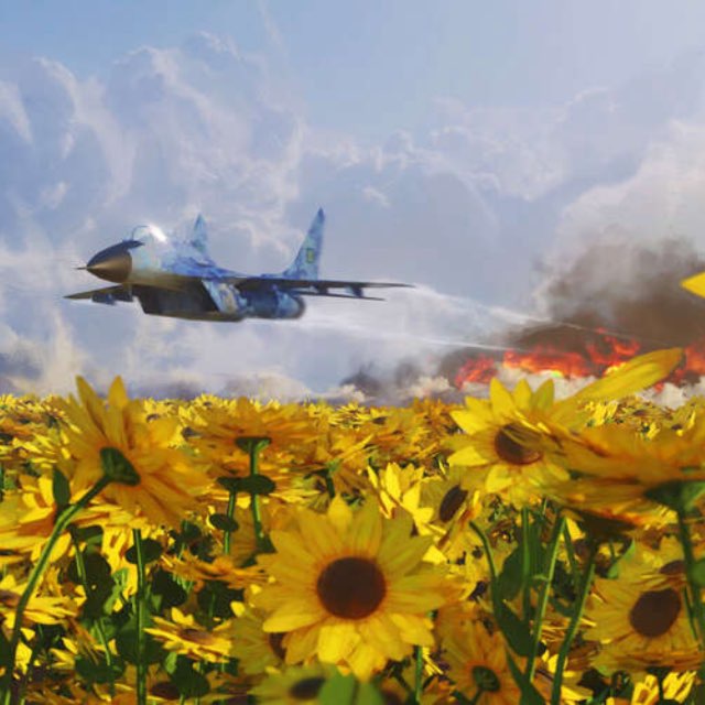 Аватар канала Соняшник🦅
