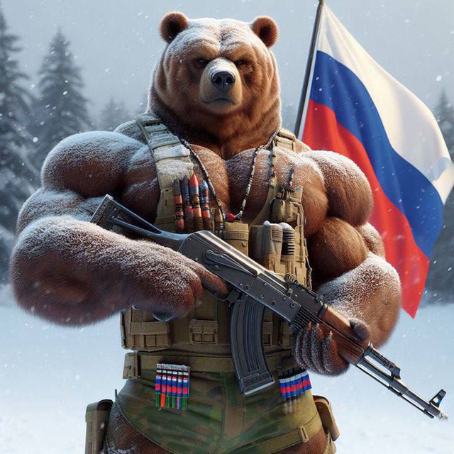 Аватар канала ⚡️🇷🇺⚡️Русский МедVедь⚡️🇷🇺⚡️