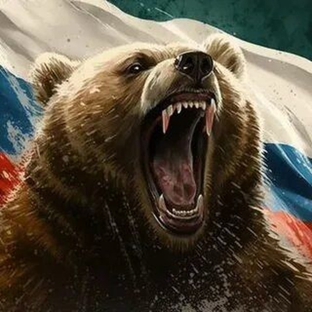Аватар канала 🇷🇺 Дядя Арч