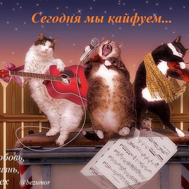 Аватар канала Хала́м-бала́м 🤡