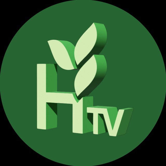 Аватар канала HTV