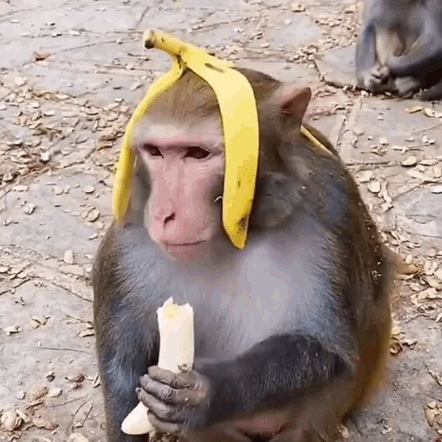 Аватар канала 🍌Banancha🦶Лало Бiбiзянка🐒 (Bh44/Лало)🪬