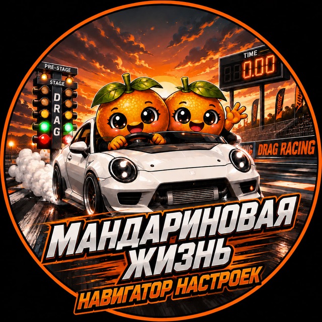 Аватар канала Навигатор настроек Мандариновой Жизни🍊