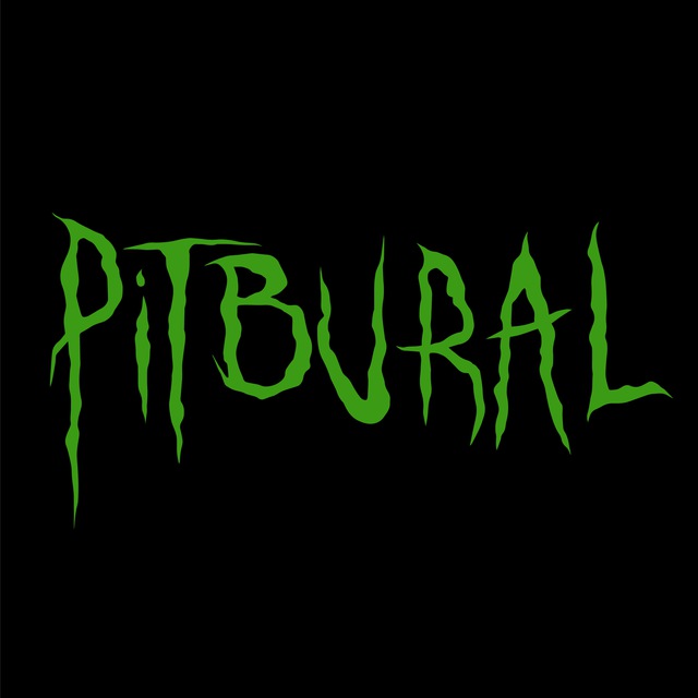 Аватар канала Pitbural