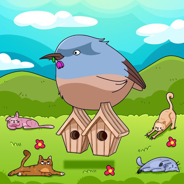 Аватар канала BIG BALLS BIRDS