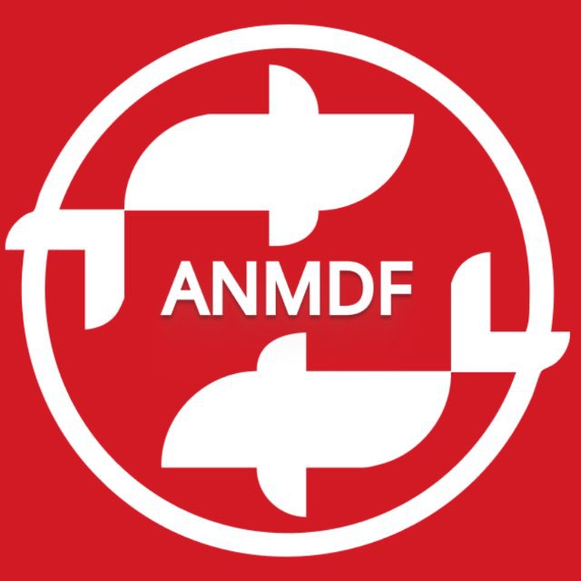 Аватар канала ANM DANCE FESTIVAL