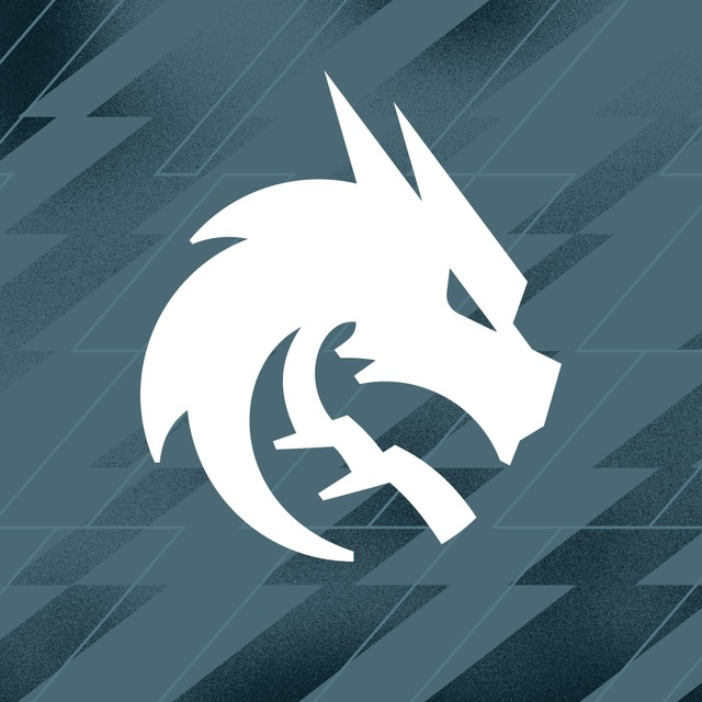 Аватар канала Team Spirit CS2