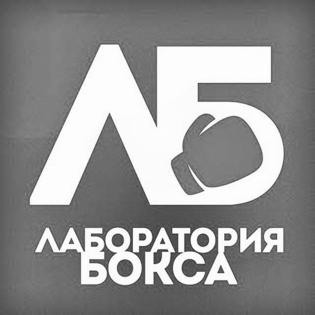 Аватар канала Лаборатория бокса СТРИМ