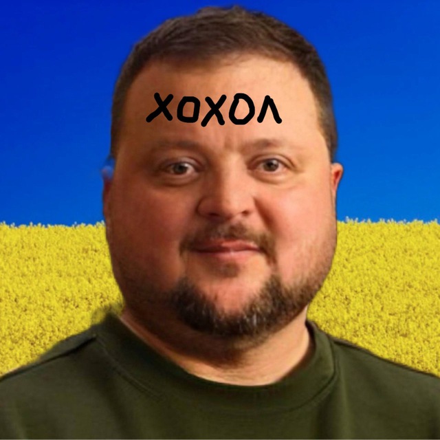 Аватар канала Хохлята учатся летать