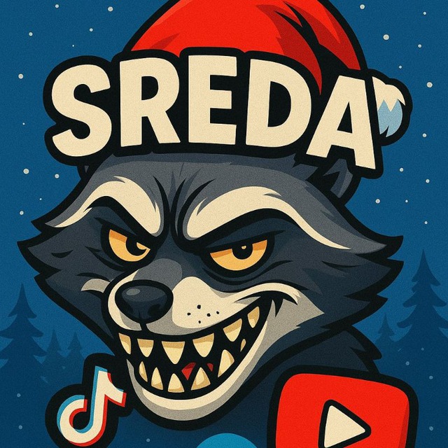 Аватар канала SREDA