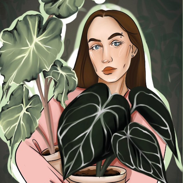 Аватар канала ⲧ𐔖ⲙⲏᥲя ⲕ𐔖ⲙⲏᥲⲧᥲ 🪴 (𝑷𝒍𝒂𝒏𝒕𝒔’ 𝑴𝒐𝒎𝒆𝒏𝒕𝒔)