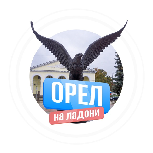 Аватар канала Орел на ладони