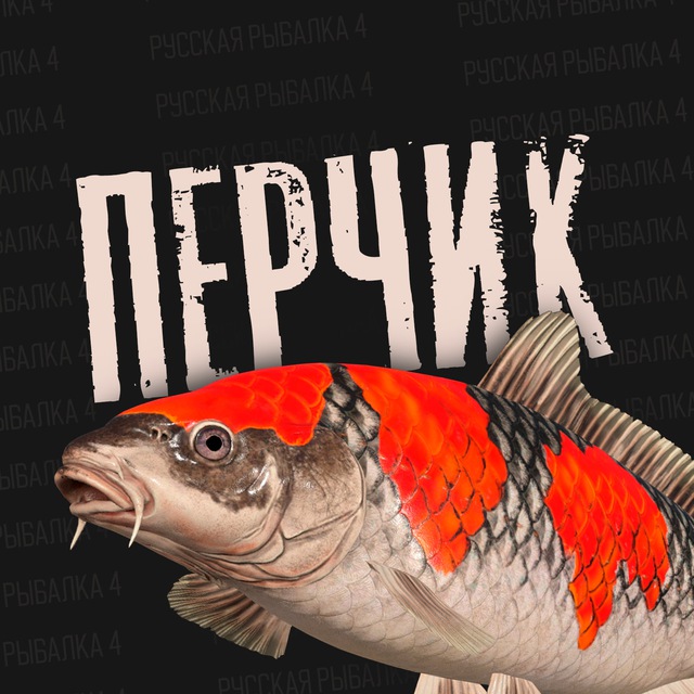Аватар канала Перчик РР4 | Русская рыбалка 4
