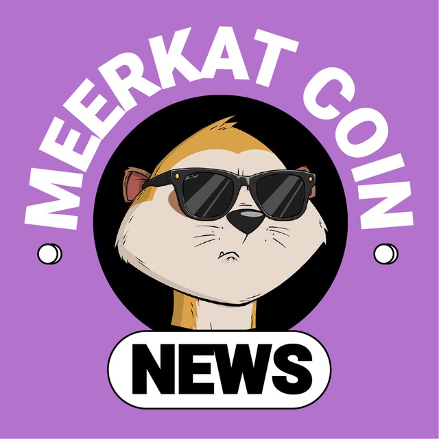 Аватар канала Meerkat Coin News