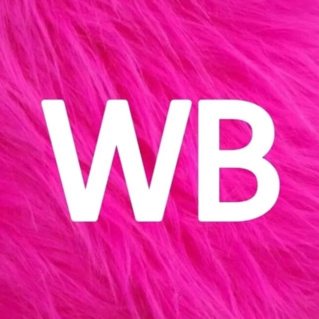 Аватар канала Лучшее Wildberries!