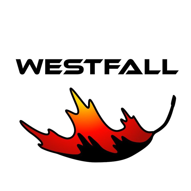 Аватар канала WESTFALL