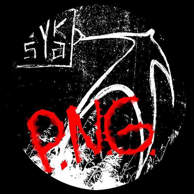 Аватар канала P.N.G.