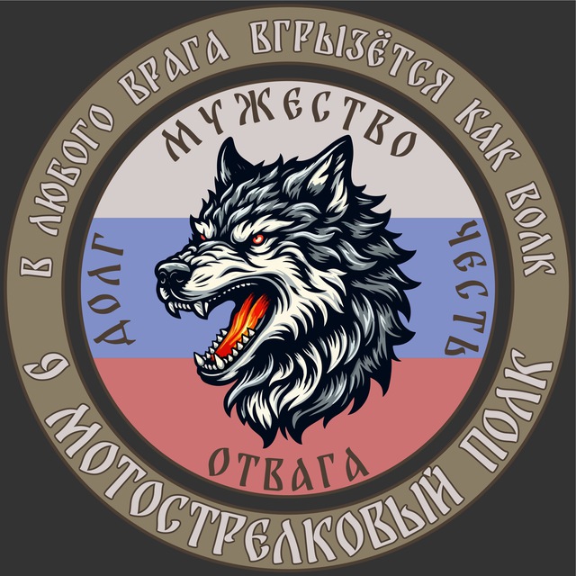 Аватар канала БАЛТИЙСКИЕ ВОЛКИ