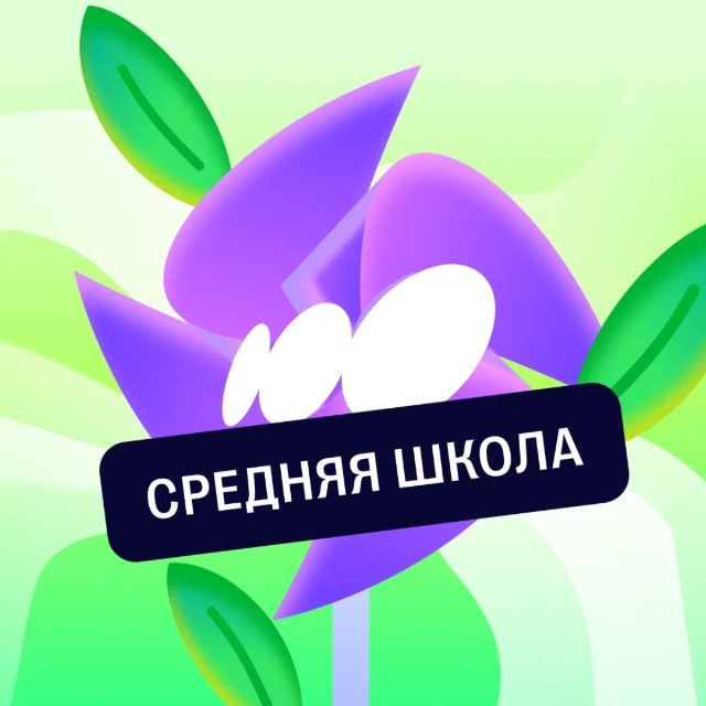 Аватар канала Средняя школа с Соткой