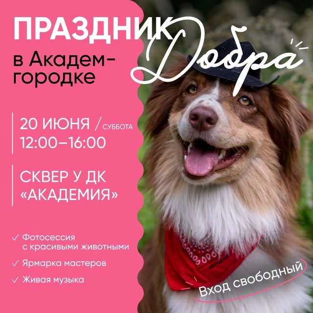 Аватар канала 🐶 ФотоДляПриюта 20.06 ДК Академия