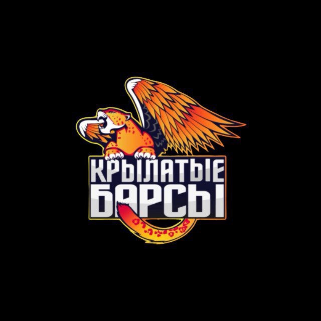 Аватар канала ЖБК «Крылатые Барсы»