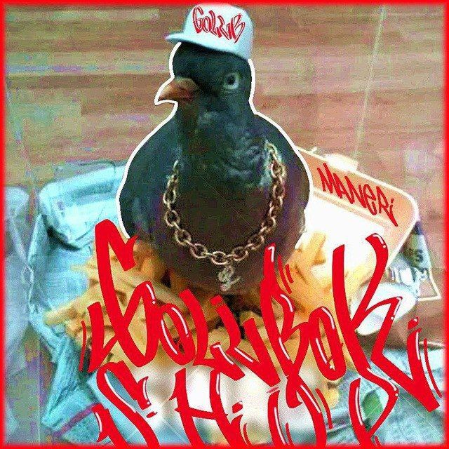 Аватар канала Golubok shop
