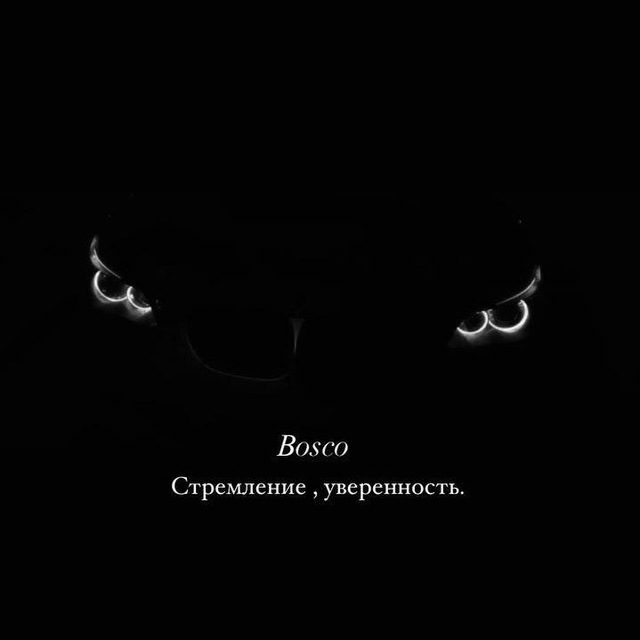 Аватар канала 𝐁𝐨𝐬𝐜𝐨