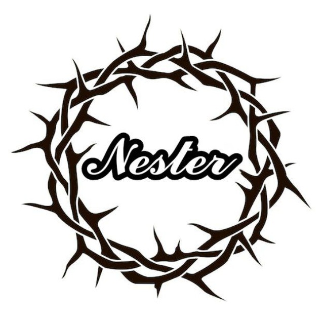 Аватар канала NESTER