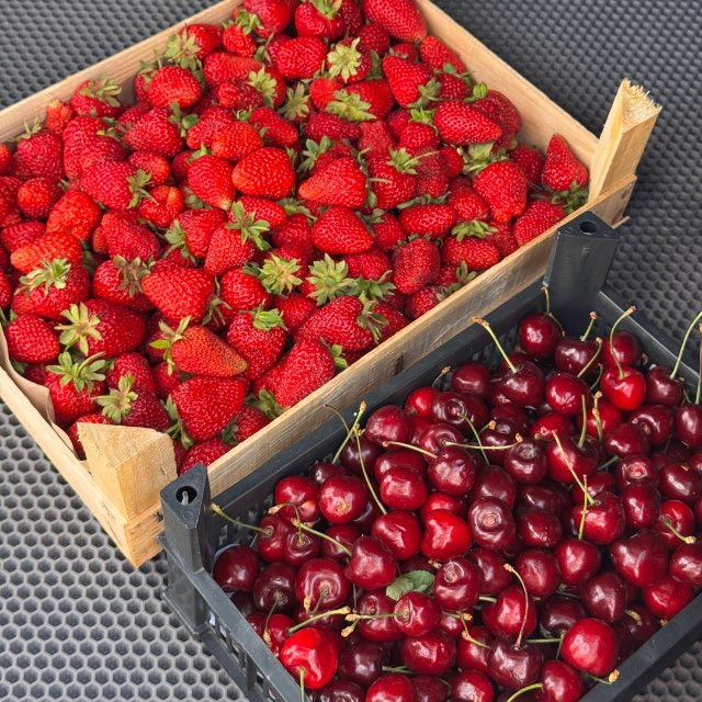 Аватар канала Ягода из Киргизии🍓НОВОСИБИРСК