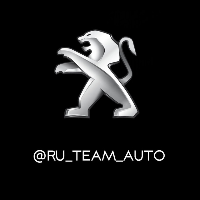 RU TEAM Peugeot