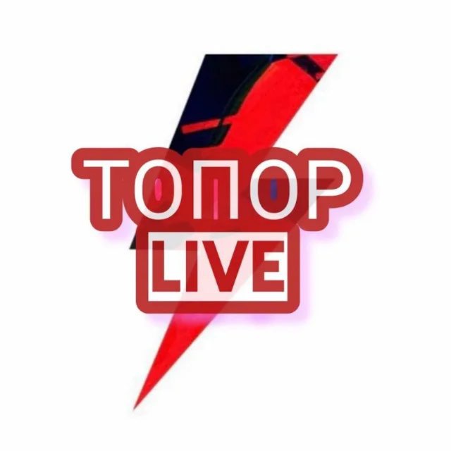 Аватар канала Топор Live — Вести РФ