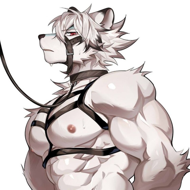 Аватар канала Gay furry yiff | Гей фурри йифф