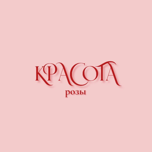 Аватар канала Красота розы | Rose beauty