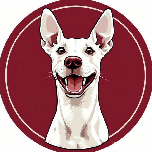 Аватар канала Пёс с тобой 🐶
