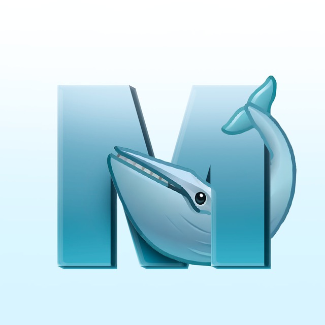 Аватар канала Whales Media🐋