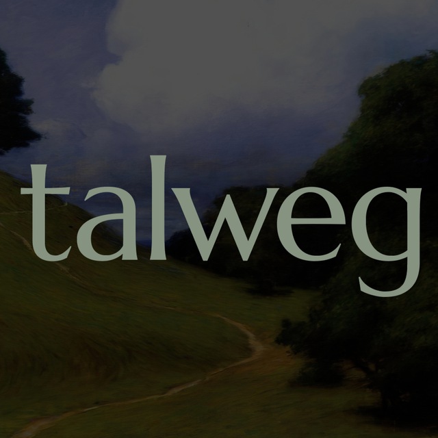 Аватар канала talweg