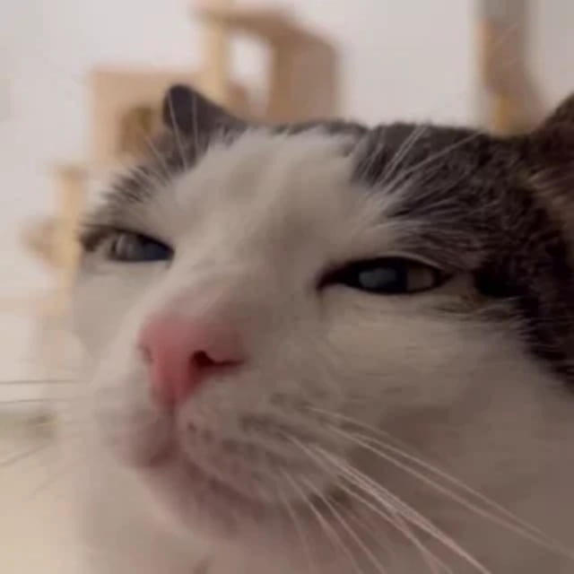 Аватар канала никокчик