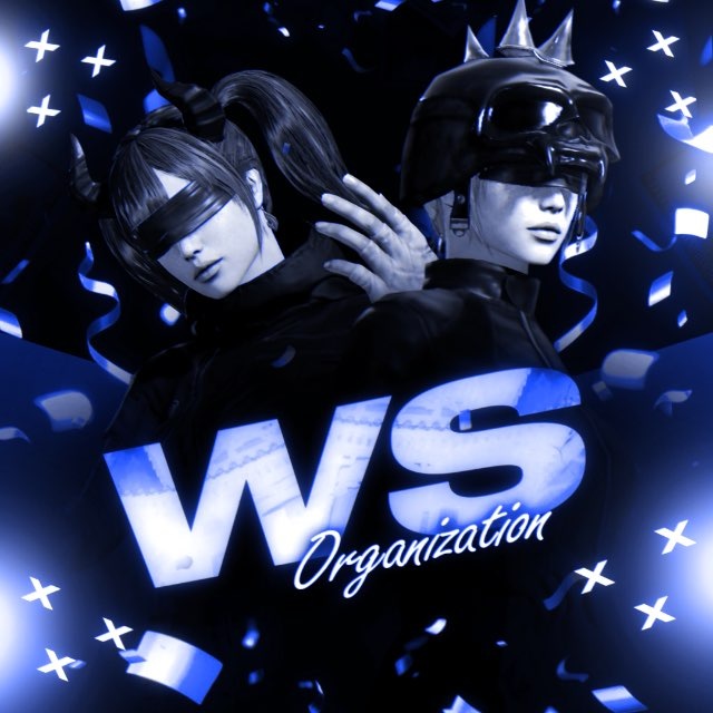 Аватар канала WS ORGANIZATION