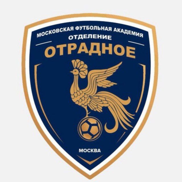 Аватар канала МФА "Отрадное" 2009