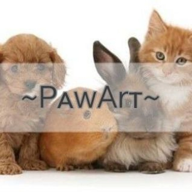 Аватар канала PᴀwArᴛ /conf
