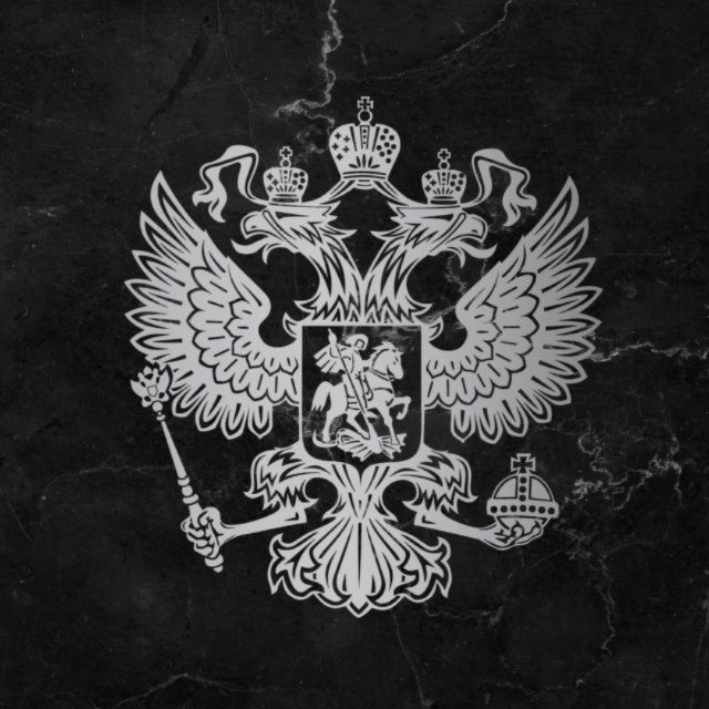 Аватар канала СОКОЛ 2.0
