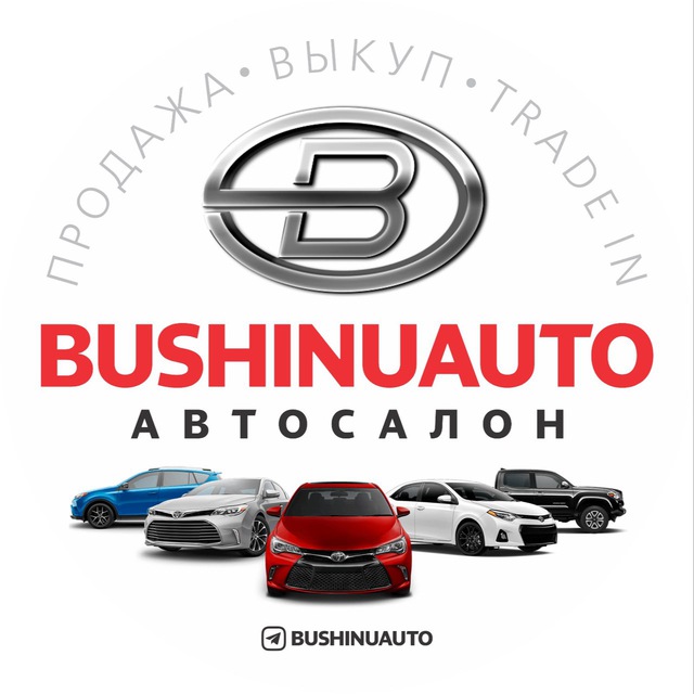 Аватар канала BUSHINUAUTO SALON