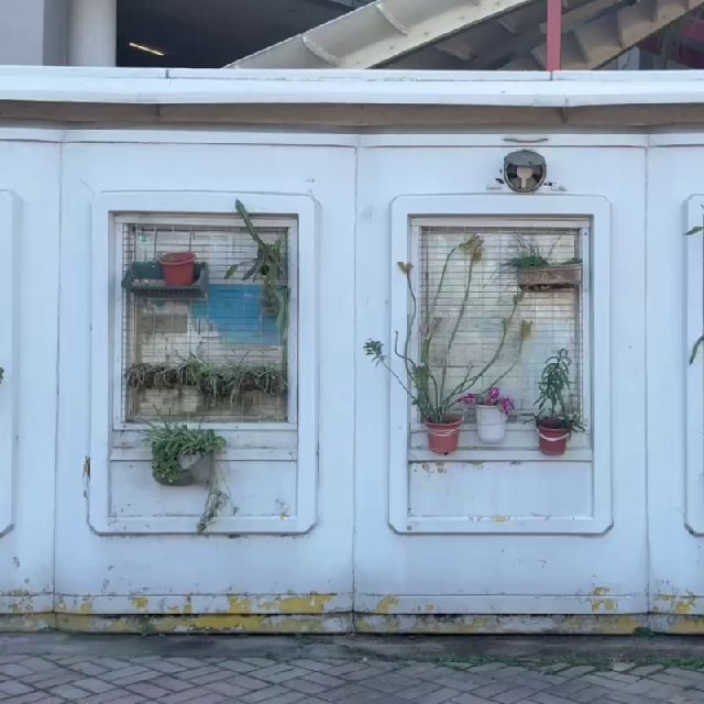 Аватар канала ЗМЯУ концерты