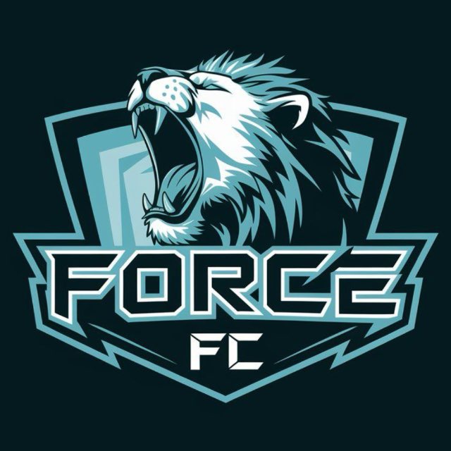Аватар канала FORCE FC