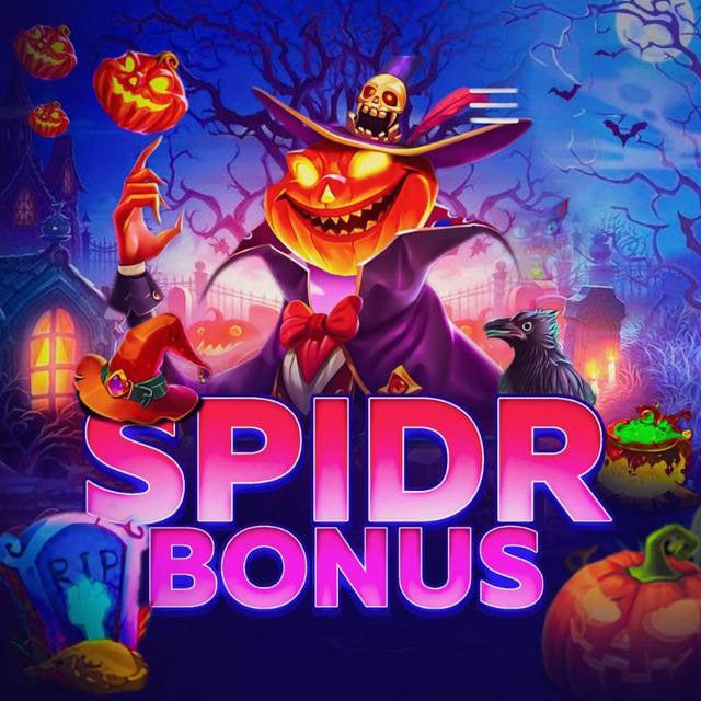 Аватар канала SPIDR BONUS