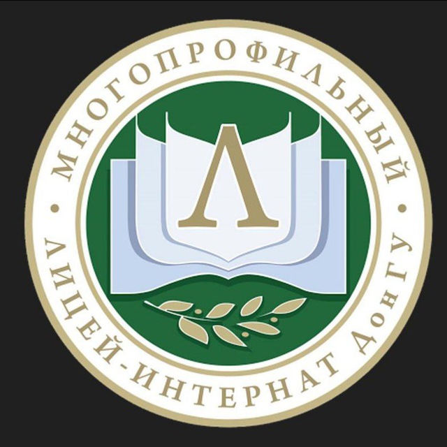 Аватар канала Лицей ДонГУ 🎞