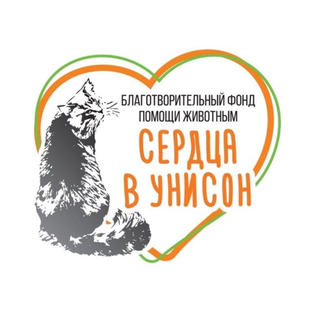 Аватар канала Приют «ФИЛИМОША»