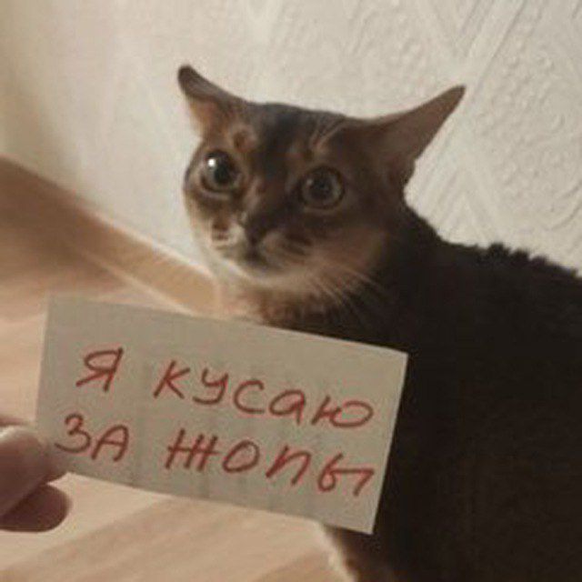 Аватар канала Почеркушки RuaLann | Art